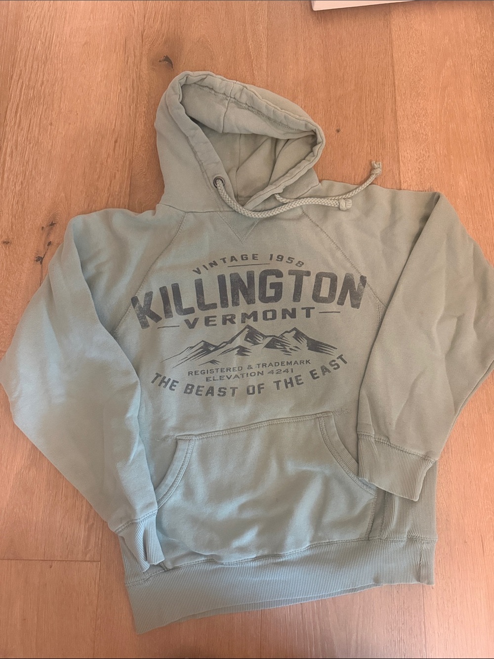 Blue 84 Men's Light Sage Green Killington Pullover Hoodie
